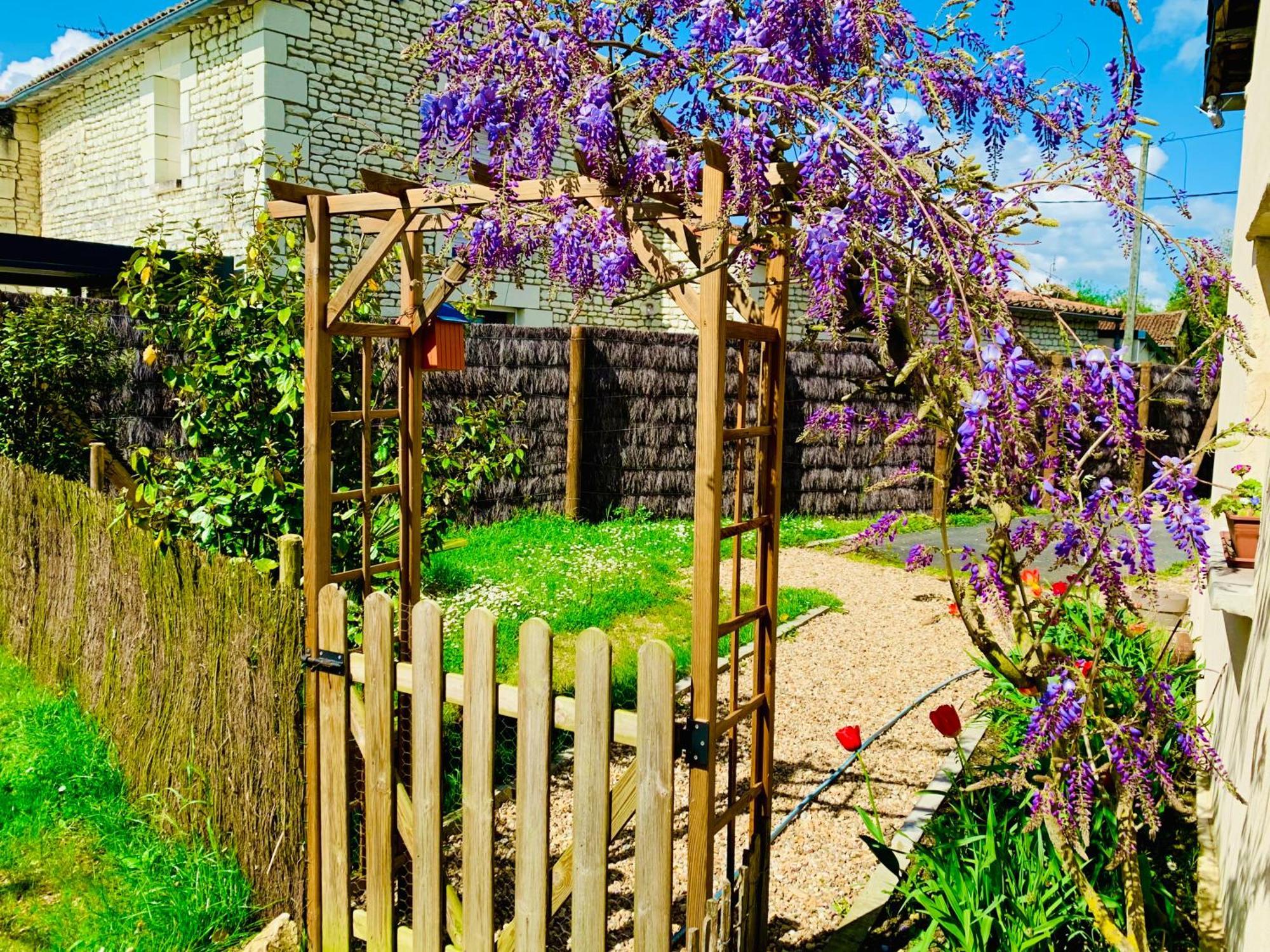 Gite Clair De Lune Monts-sur-Guesnes Exterior foto